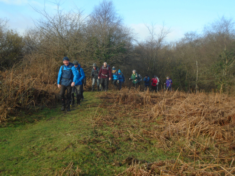 Photograph of Walking Route - Image 2