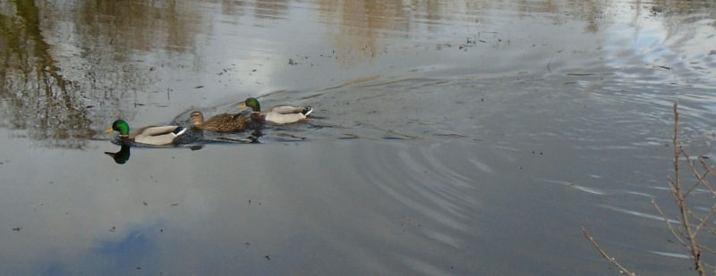 Photograph of Walking Route - Image 6