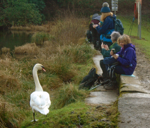 Photograph of Walking Route - Image 7