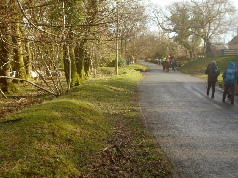 Photograph of Walking Route - Image 9