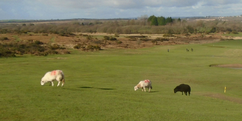 Photograph of Walking Route - Image 10