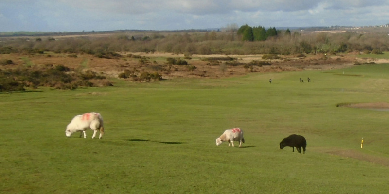 Photograph of Walking Route - Image 10