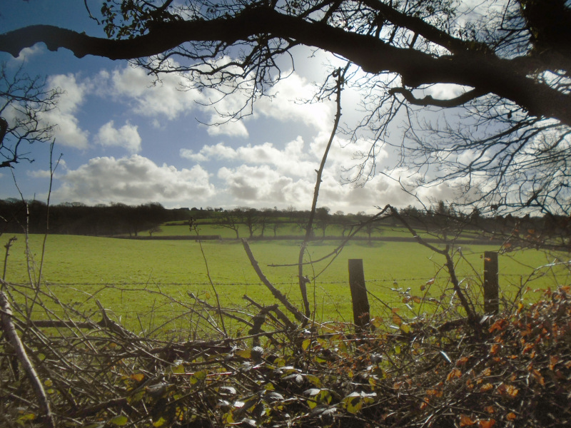 Photograph of Walking Route - Image 17