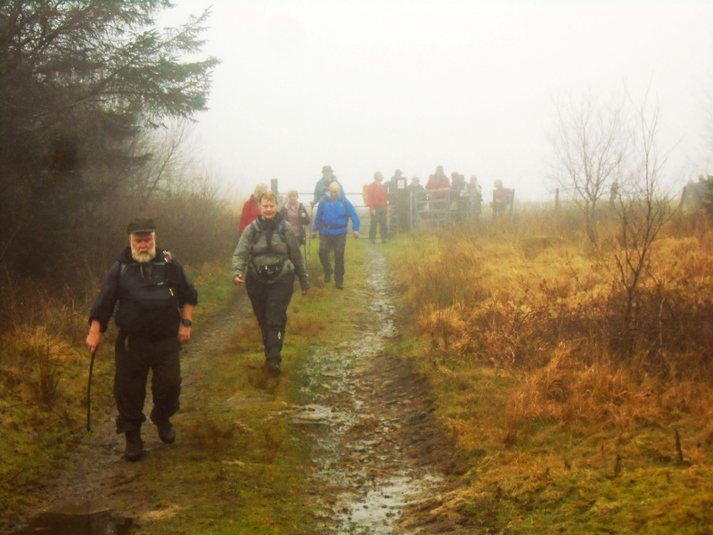 Photograph of Walking Route - Image 10