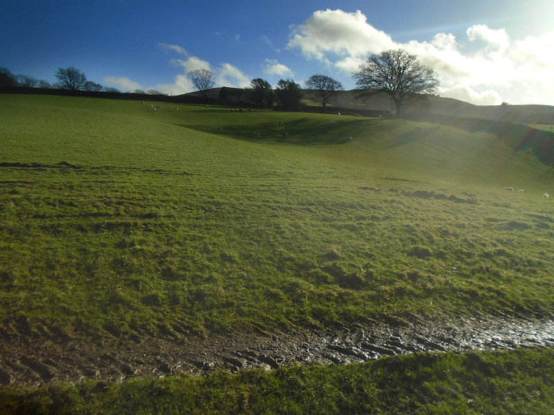 Photograph of Walking Route - Image 19