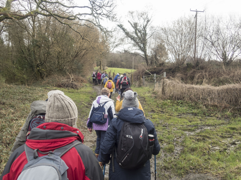 Photograph of Walking Route - Image 15