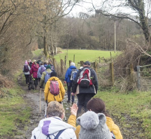 Photograph of Walking Route - Image 16