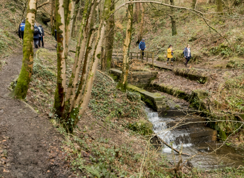 Photograph of Walking Route - Image 26