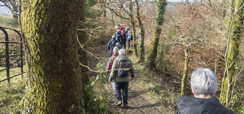 Photograph of Walking Route - Image 32