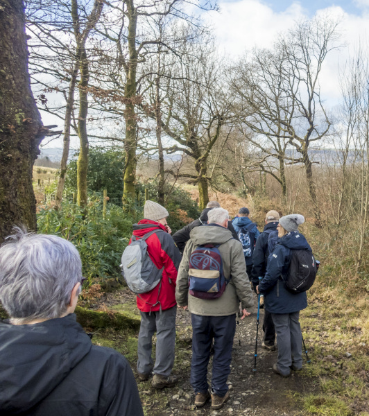 Photograph of Walking Route - Image 33