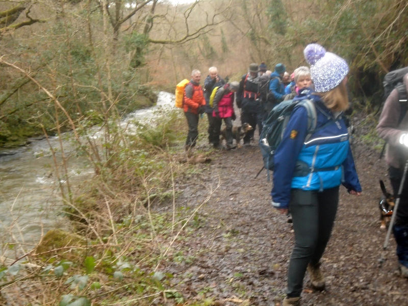 Photograph of Walking Route - Image 1