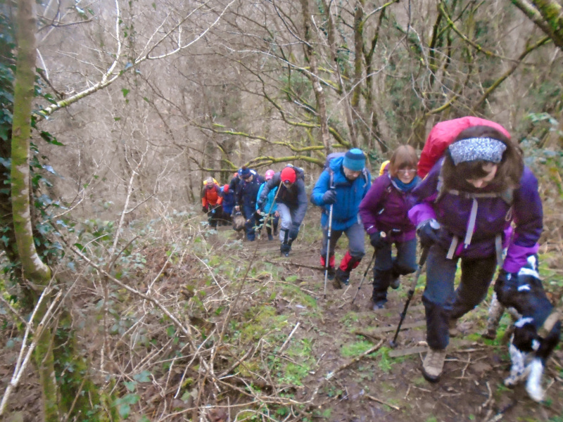 Photograph of Walking Route - Image 2