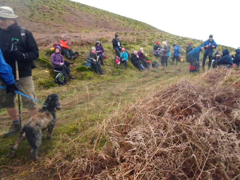 Photograph of Walking Route - Image 6