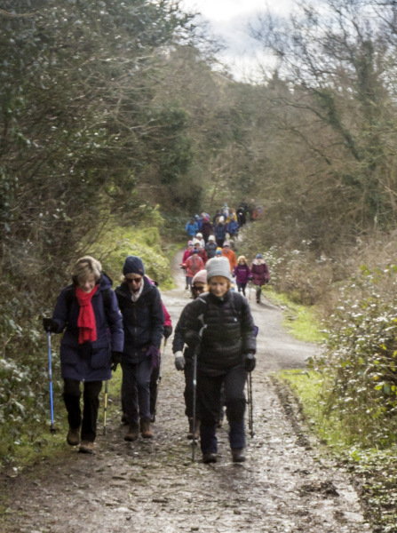 Photograph of Walking Route - Image 3