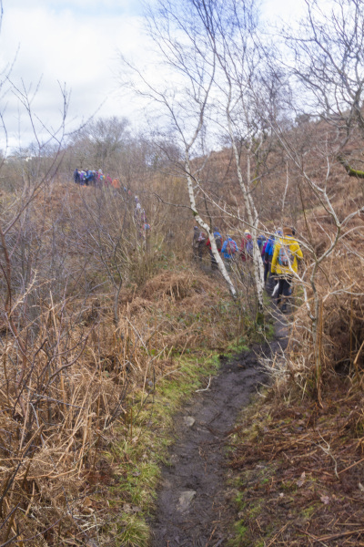 Photograph of Walking Route - Image 5