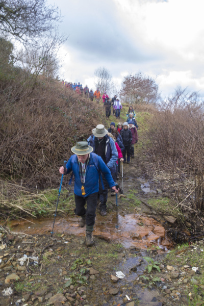 Photograph of Walking Route - Image 6