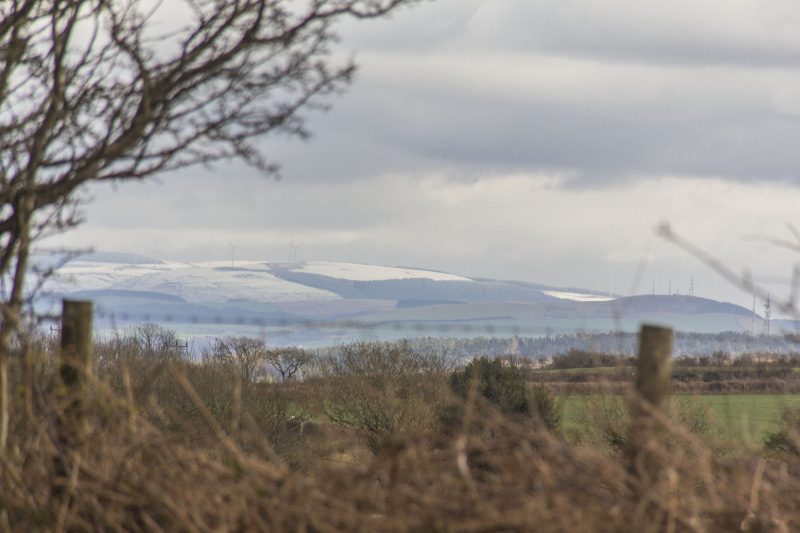 Photograph of Walking Route - Image 11