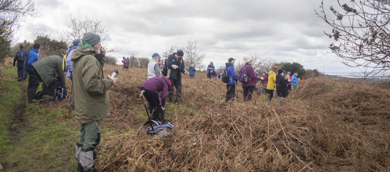 Photograph of Walking Route - Image 12