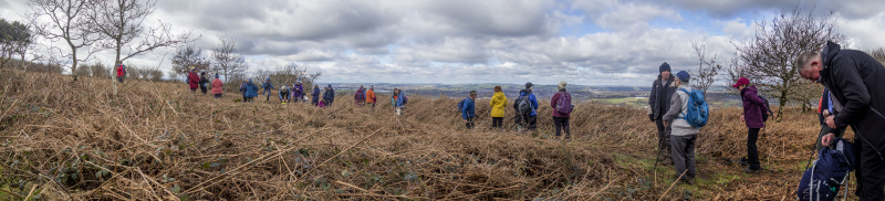 Photograph of Walking Route - Image 13