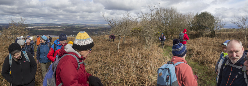 Photograph of Walking Route - Image 15