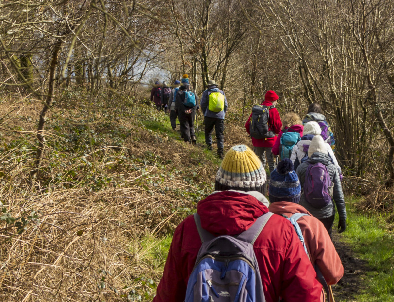 Photograph of Walking Route - Image 29