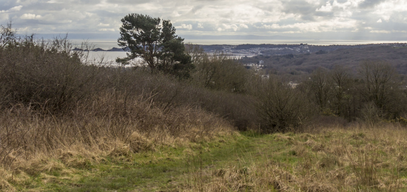 Photograph of Walking Route - Image 30