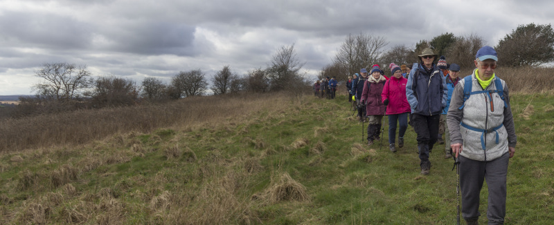 Photograph of Walking Route - Image 31