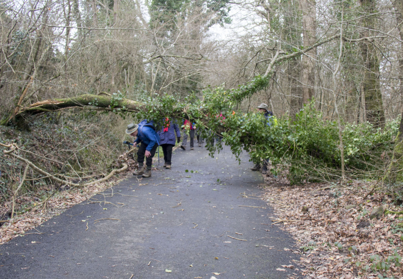 Photograph of Walking Route - Image 40