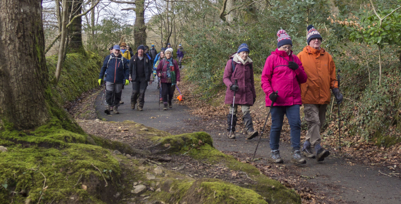 Photograph of Walking Route - Image 41