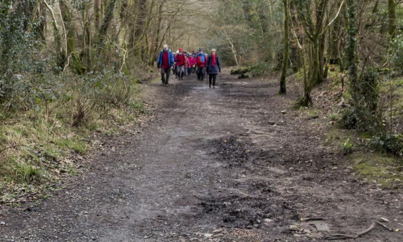 Photograph of Walking Route - Image 42