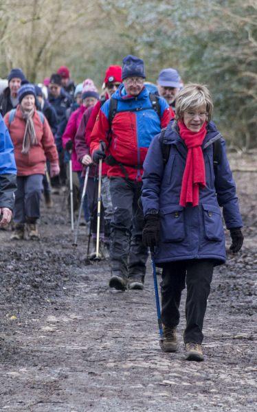 Photograph of Walking Route - Image 43