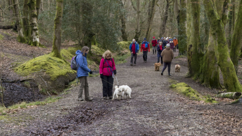 Photograph of Walking Route - Image 44