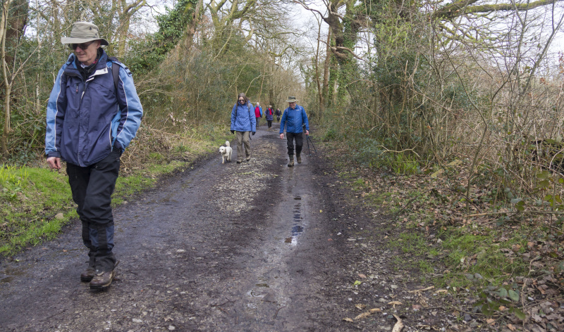 Photograph of Walking Route - Image 45