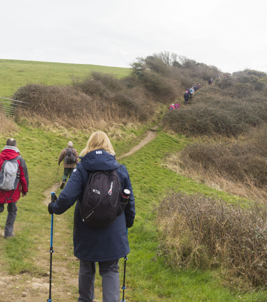 Photograph of Walking Route - Image 14