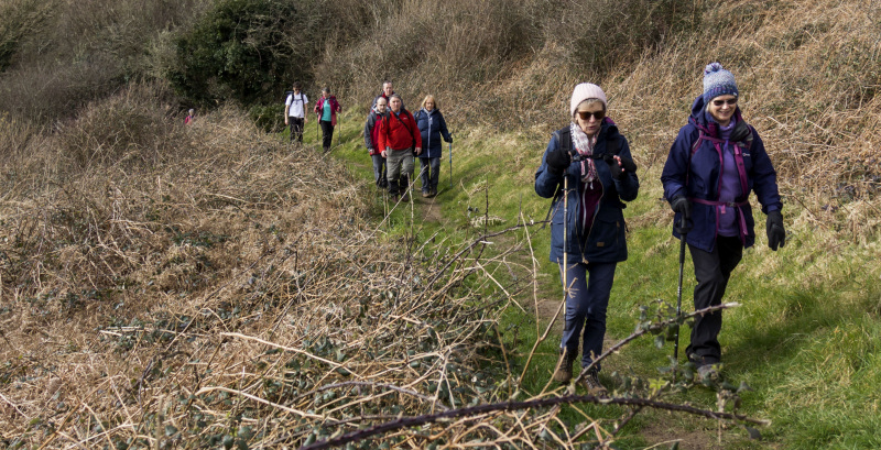 Photograph of Walking Route - Image 20