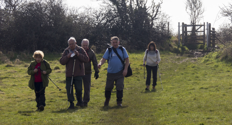 Photograph of Walking Route - Image 26