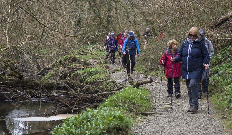 Photograph of Walking Route - Image 37