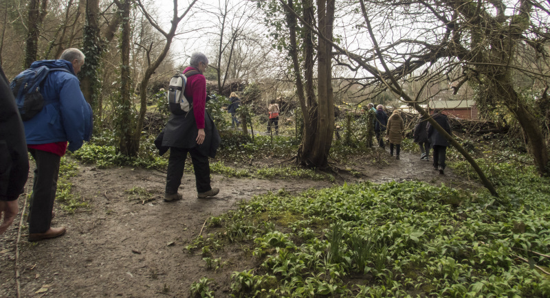 Photograph of Walking Route - Image 9