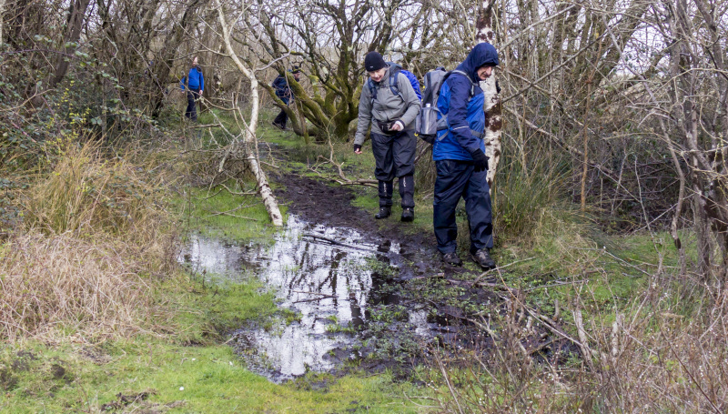 Photograph of Walking Route - Image 47