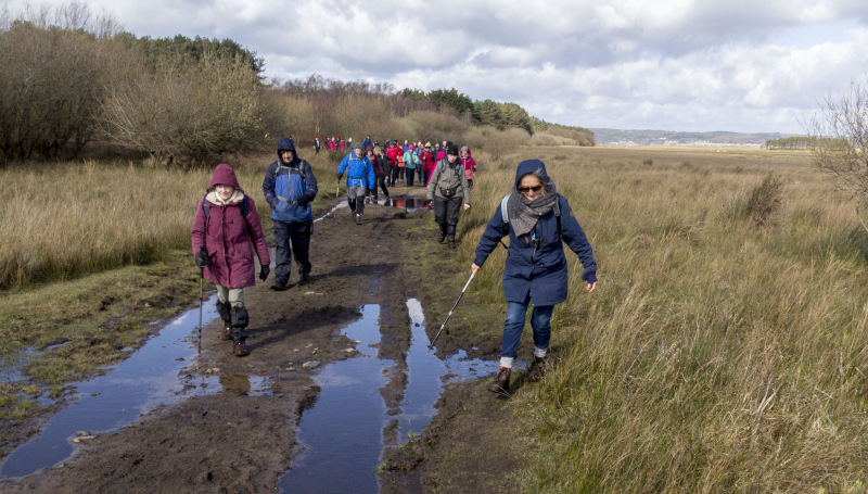 Photograph of Walking Route - Image 48