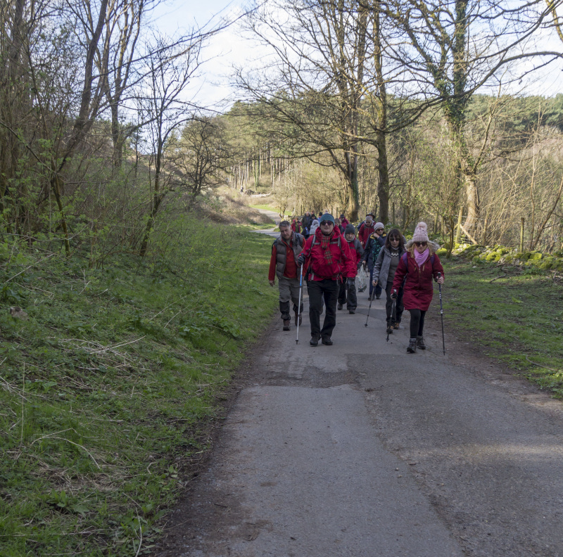 Photograph of Walking Route - Image 50