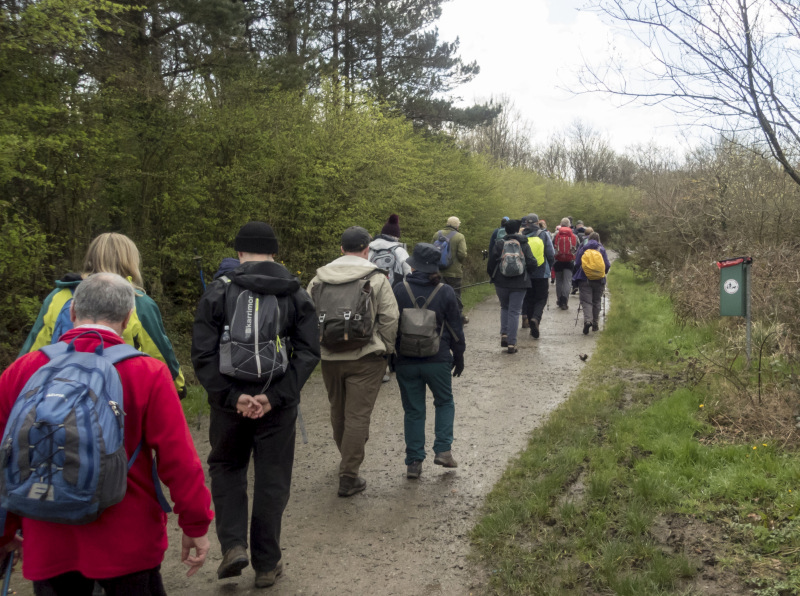 Photograph of Walking Route - Image 3