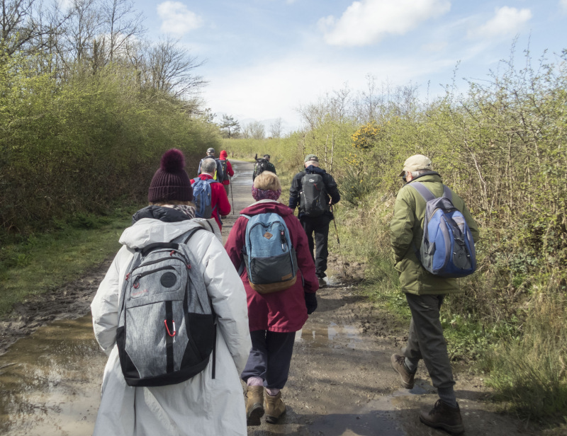 Photograph of Walking Route - Image 5