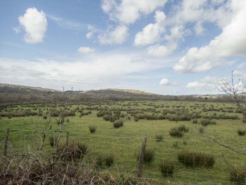 Photograph of Walking Route - Image 7