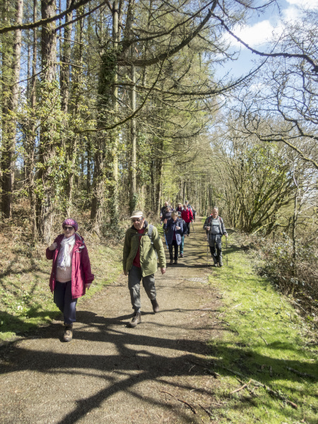 Photograph of Walking Route - Image 9