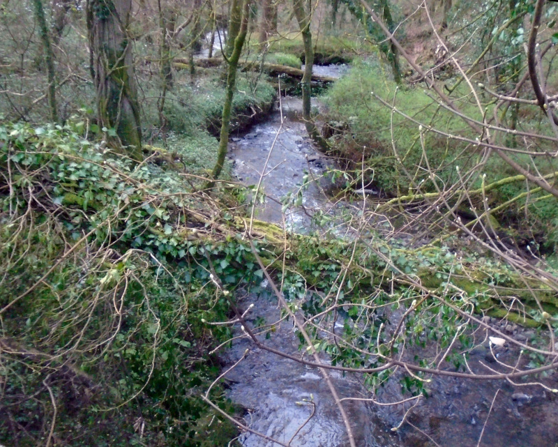 Photograph of Walking Route - Image 3