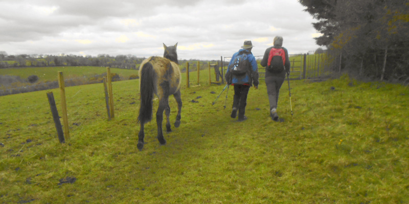 Photograph of Walking Route - Image 8