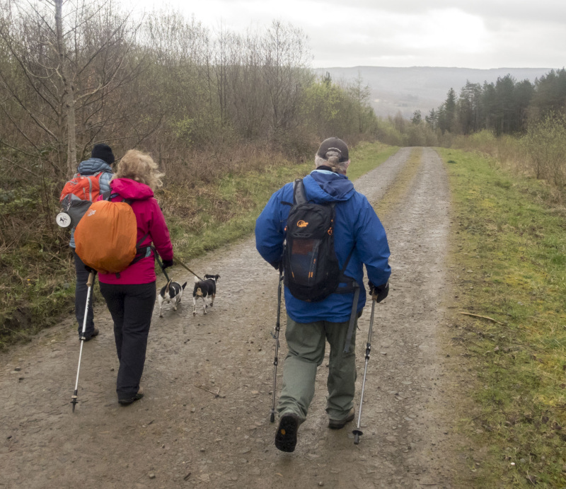 Photograph of Walking Route - Image 4