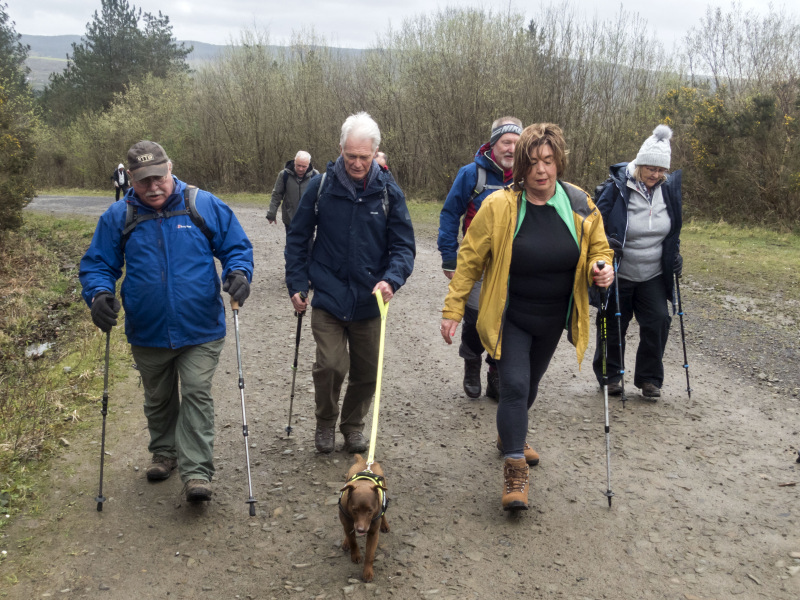 Photograph of Walking Route - Image 8