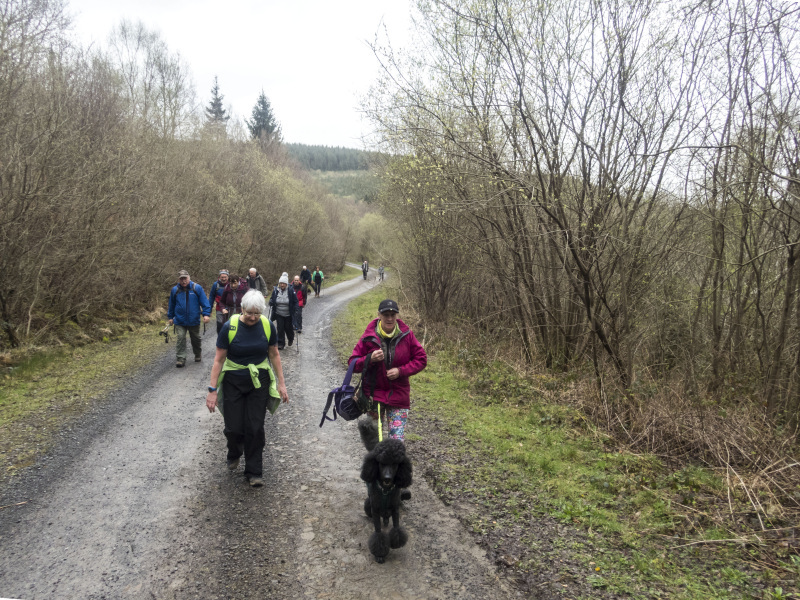 Photograph of Walking Route - Image 9